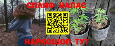 спайс Гагарин