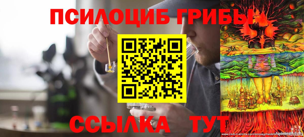 Миллерово  Галлюциногенные грибы Psilocybe  Псилоцибиновые грибы Cubensis  Вход с VPN 