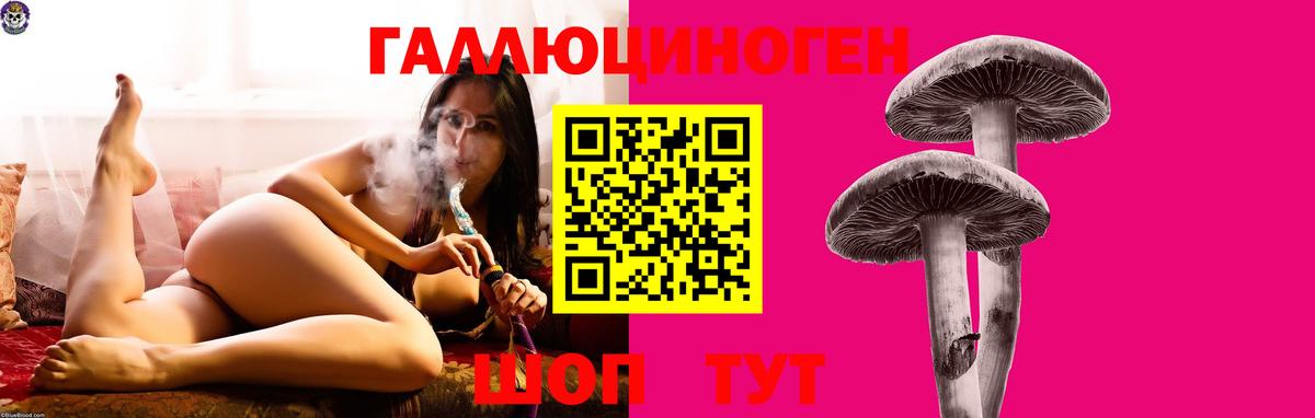 Галлюциногенные грибы GOLDEN TEACHER Миллерово